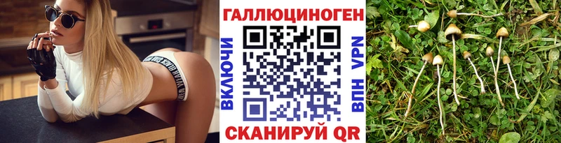 цена   Альметьевск  Псилоцибиновые грибы мухоморы 
